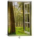 Window to Forestry Canvas