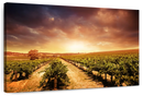 Vineyards Wall Art