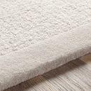 Winooski Area Rug