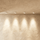 Winry Downlight