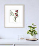 Winter Weather - Open Edition Paper Print
