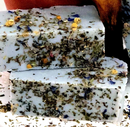 Witches Brew Tea Infused Organic Handmade Soap