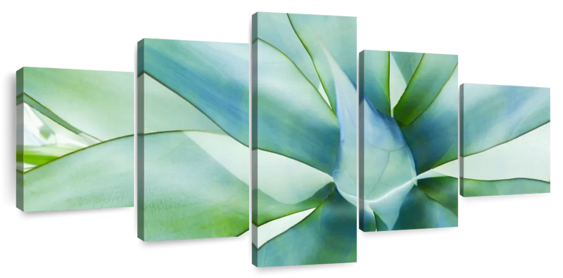 Agave Leaves Wall Art