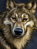 Wolf CS2574 11.8 x 15.8 inches Crafting Spark Diamond Painting Kit