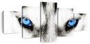 Husky's Eyes Wall Art