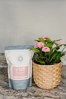 Womb Wellness Prenatal Tea
