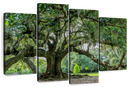 Audubon Park Oak Tree Wall Art