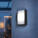 Xenavo Outdoor Wall Light
