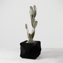Xenova Planter