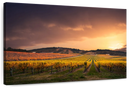 South Australia Vineyard Wall Art