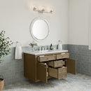 James Martin Chicago 48" Single Bathroom Vanity, Walnut Whisper