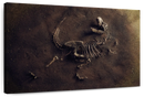 Dinosaur Skeleton Wall Art
