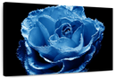 Misty Blue Rose Wall Art