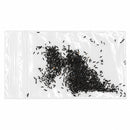 Mini Native Short Salt & Clay Seed Mix | Prairie Legacy Inc.