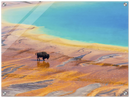 Yellowstone Prismatic Spring Print Metal Wall Art – Wyoming National Park Colorful Decor