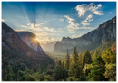 Yosemite Forest Print Metal Wall Art – California National Park Nature Wall Decor