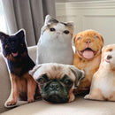 Pet Pillow Looks Like Your Pet | Custom 3D Photo Cutout Pillow