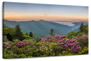 Blue Ridge Mountains View Wall Art