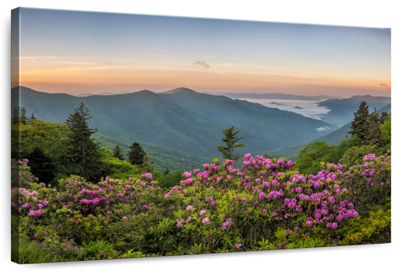 Blue Ridge Mountains View Wall Art