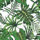 Green Monstera Leaves Wallpaper