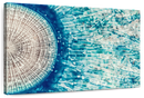 Jellyfish Details Wall Art