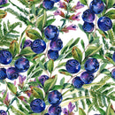 Voguish Blueberry Wallpaper Tasteful
