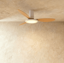 Zerua Ceiling Fan