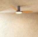 Zerua Ceiling Fan