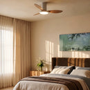 Zerua Ceiling Fan