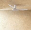 Zerua Ceiling Fan