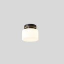 Zilt Ceiling Light