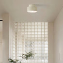Zinobis Ceiling Light