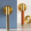 Ziyan Handle and Lock