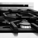 ZLINE 24" Professional Dual Fuel Range in White Matte RAS-WM-24