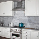 ZLINE 30" Snow Finished Stainless Steel Wall Mount Range Hood, 8KBS-30