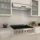 ZLINE 30" Under Cabinet Stainless Steel Range Hood 621-30