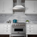ZLINE 36" Dual Fuel Range, Snow Stainless, Snow Stainless Door, RAS-SN-36