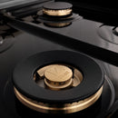 ZLINE 60" Dual Fuel Range, Snow Stainless, Brass Burners, RAS-SN-BR-60
