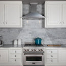 ZLINE Designer Series DuraSnow®  Wall Mount Range Hood 8KBS-48