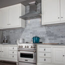 ZLINE Designer Series DuraSnow®  Wall Mount Range Hood 8KBS-48