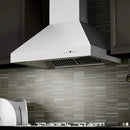 ZLINE Ducted Wall Mount Range Hood in Outdoor Approved Stainless Steel 697-304-48