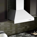 ZLINE Ducted Wall Mount Range Hood in Outdoor Approved Stainless Steel 697-304-48