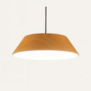 Zolty Pendant Light
