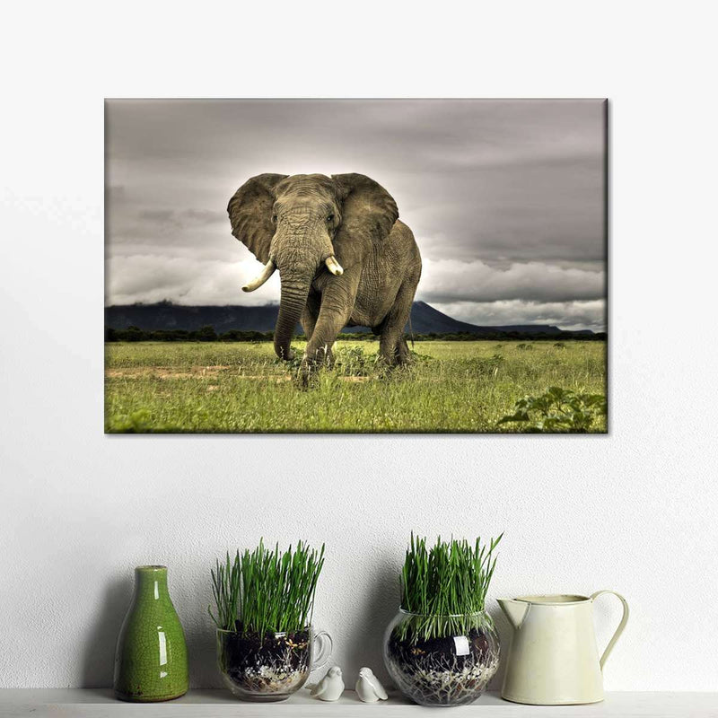 Elephant Landscape Wall Art