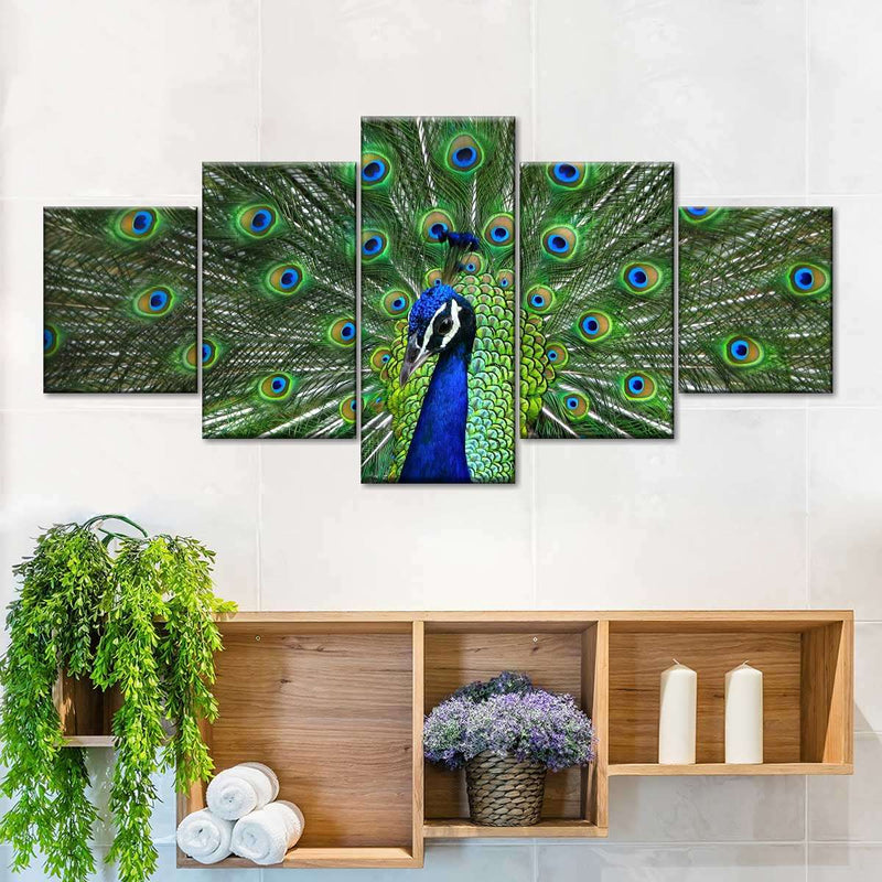 Peacock Feathers Wall Art