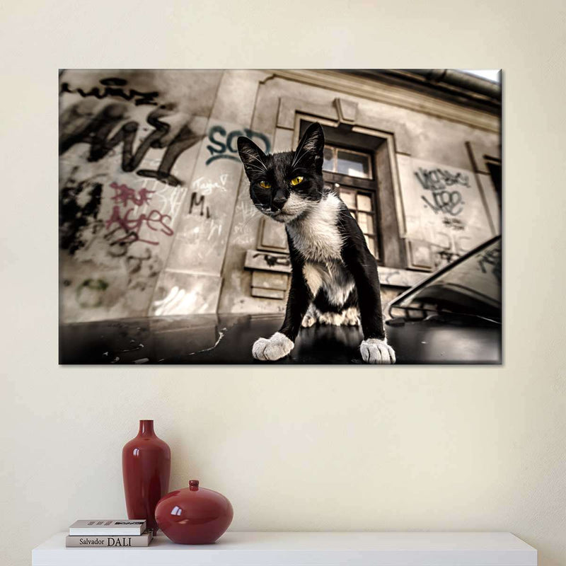 Alley Cat Wall Art