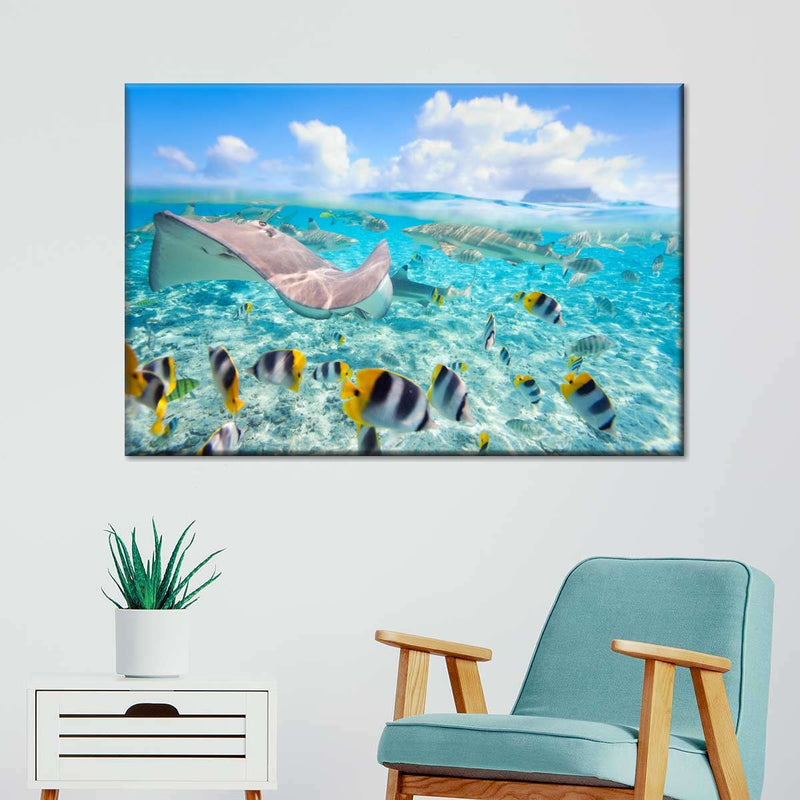 Bora Bora Sea Life Wall Art