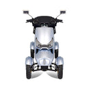 Zvg Heavy-Duty 1000W 60V/20AH 330LBS Four-Wheel All-Terrain Travel Mobility Scooter [SN-4L] (SAK97245)