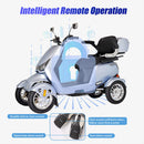 Zvg Heavy-Duty 1000W 60V/20AH 330LBS Four-Wheel All-Terrain Travel Mobility Scooter [SN-4L] (SAK97245)