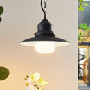 Zynaris Outdoor Pendant Light